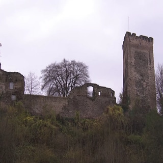 Burgruine Grenzau