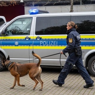 Polizei-Einsatz (Symbol): In Mainz gab es zwei größere Einsätze - zum einen wegen möglichem Sprengstoff am Mainzer Hauptbahnhof und zum anderen wegen eines angeblichen Familienstreits in der Altstadt