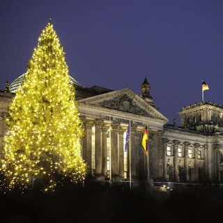 Weihnachtsbaum vorm Reichtstagsgebäude