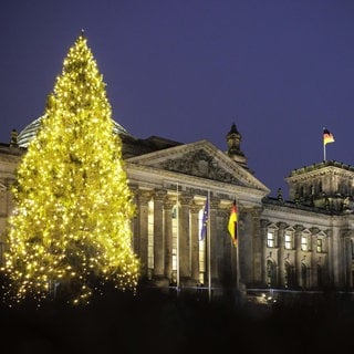 Weihnachtsbaum vorm Bundestag - aufgrund der vorgezogenen Neuwahlen fällt der Wahlkampf 2024 auch in die Weihnachtszeit.