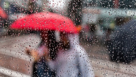 Novemberwetter in Rheinland-Pfalz: Es wird nass, stürmisch und hoch oben weiß 