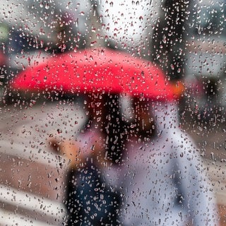 Novemberwetter in Rheinland-Pfalz: Es wird nass, stürmisch und hoch oben weiß 