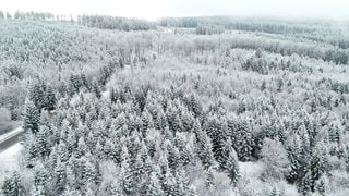 Der erste Schnee ist gefallen. Hier der Wald zwischen Bruchweiler und Hinzerath.