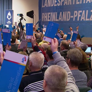 AfD-Parteitag in Rheinland-Pfalz