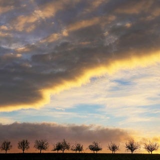 Hinter Obstbäumen erhellt die aufgehende Sonne den teilweise bewölkten Himmel. nach winterlichen Tagen wird es deutlich milder und stürmisch. 