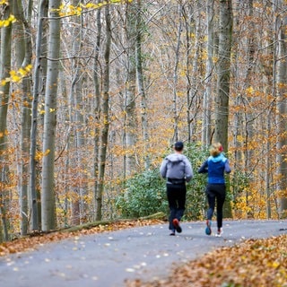 Zwei Jogger im Wald bei frühlingshaftem Novemberwetter - der Bomben-Zyklon macht es möglich.