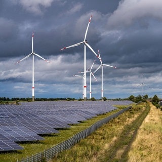 Die Landesregierung in RLP hat ein neues Klimaschutzgesetz vorgestellt, ein Schwerpunkt ist der Ausbau Erneuerbarer Energien wie Solar und Windkraft.