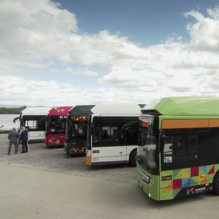 Busse stehen auf einem Parkplatz am Rhein in Mainz - hier ein Archivbild. Ab Januar 2025 wird der ÖPNV-Index in Rheinland-Pfalz eingeführt.