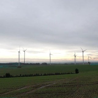 Windräder auf einem Feld