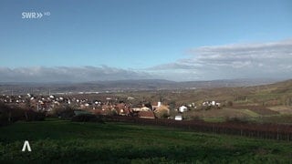 Blick in die Ferne in Aspisheim