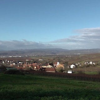 Blick in die Ferne in Aspisheim