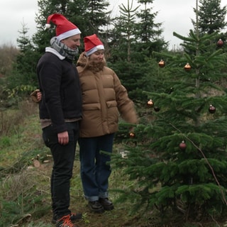 Nachhaltiges Kaufen von Weihnachtsbäumen