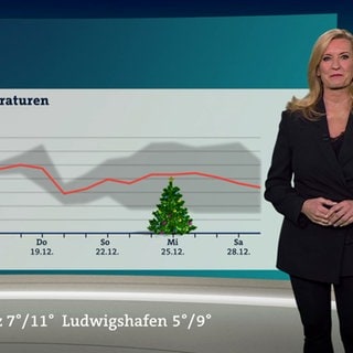 Wetterreporterin Claudia Kleinert