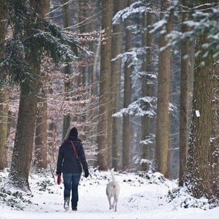 Kaum jemand möchte Weihnachten oder Silvester ganz alleine feiern. Falls es doch nicht anders geht, kann es trotzdem ein besonderer Tag werden.