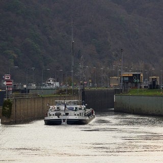 Ein Frachtschiff fährt auf der Mosel in die Schleuse Lehmen ein (Archivbild). Nach dem Schleusenunfall wird deutlich, dass der Ausbau der Moselschleusen dringend nötig ist. Aber warum dauert das so lange?