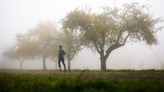 Regen, Schnee - aber auch Sonne: turbulentes Wetter zum Jahresbeginn in Rheinland-Pfalz.