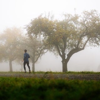 Regen, Schnee - aber auch Sonne: turbulentes Wetter zum Jahresbeginn in Rheinland-Pfalz.