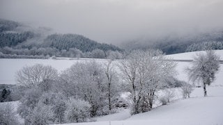 Schnee in der Eifel. Am Wochenende soll es in Rheinland-Pfalz weiter schneien.