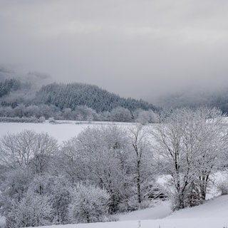 Schnee in der Eifel. Am Wochenende soll es in Rheinland-Pfalz weiter schneien.