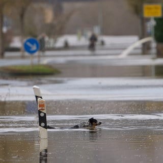 Nach dem Wintereinbruch drohen steigende Pegel im Land, zum Beispiel an der Mosel (Archivfoto)