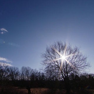 Blauer Himmel und Sonne bei Ingelheim