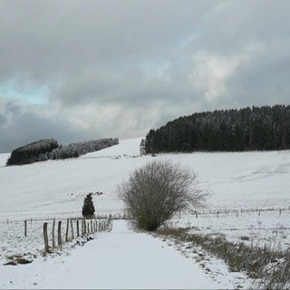 Eine schneebedeckte Landschaft