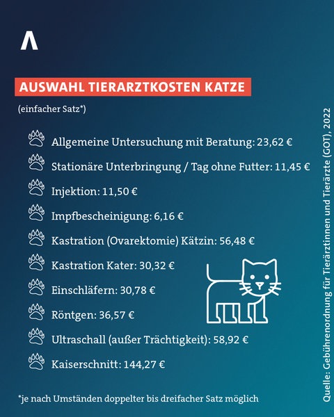 Auswahl von Tierarztkosten für eine Katze