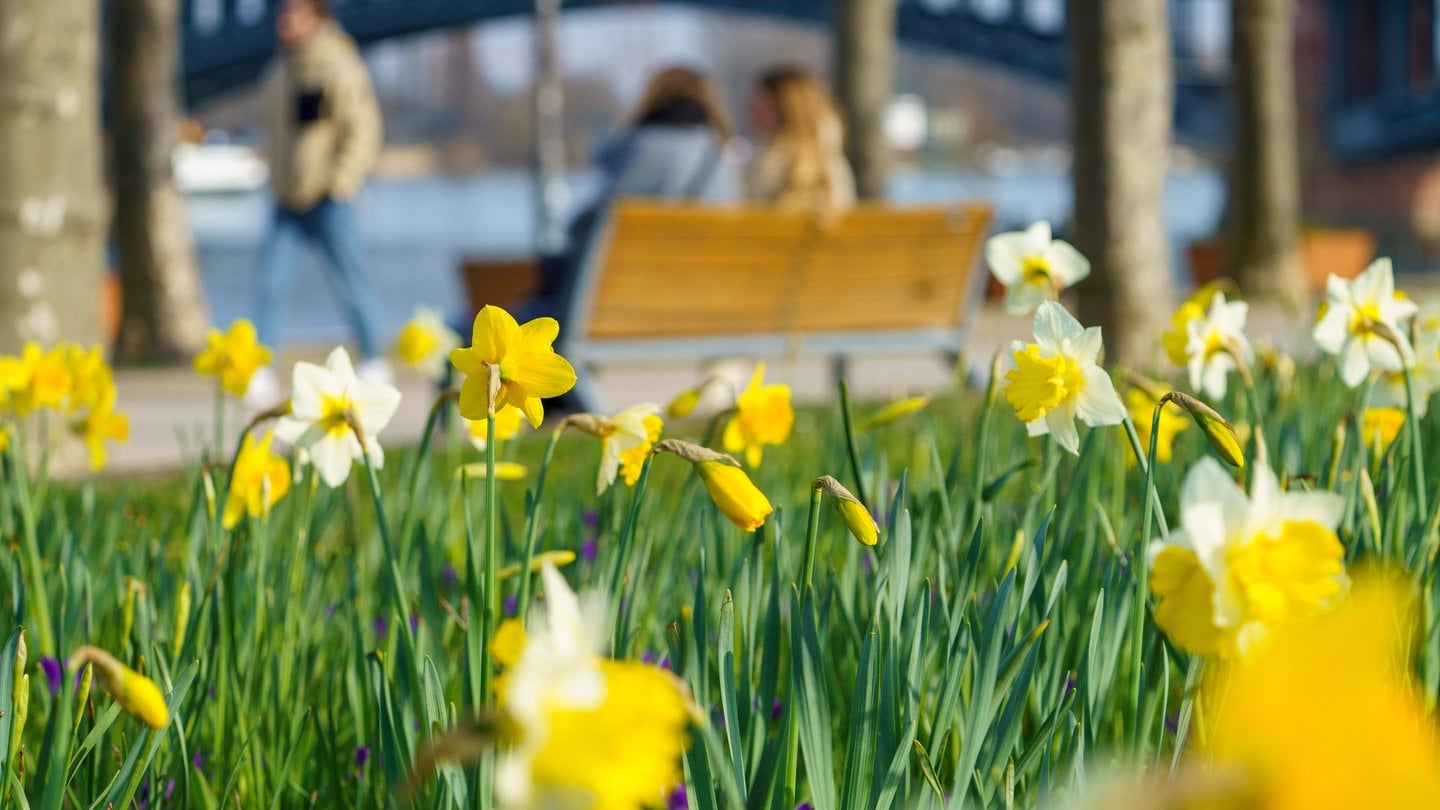 Wetter-Das-erste-Fr-hlings-Wochenende-kommt