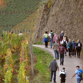 Tourismus im Ahrtal. Nach dem Willen der Ahrtal-Tourismus-GmbH sollen die Besucher jünger werden.