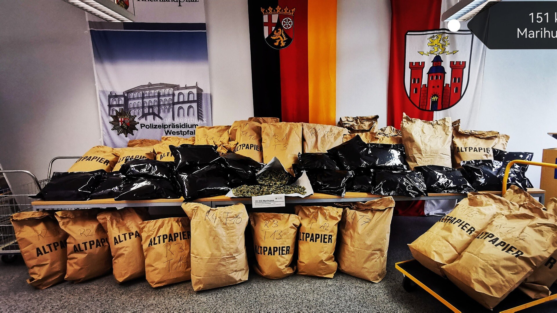 Polizei Pirmasens Hebt In Schindhard Riesige Hanf-Plantage Aus - SWR ...