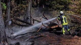 Die Feuerwehr bekämpft einen Waldbrand in Rheinland-Pfalz. Derzeit gilt im Pfälzerwald die höchste Waldbrandgefahrenstufe. 