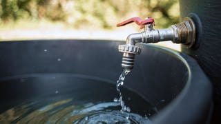 Der Wasserzweckverband Weihergruppe aus dem Landkreis Kaiserslautern appelliert an alle Menschen in der Pfalz, Trinkwasser zu sparen. Der Speicher in Weilerbach leere sich seit einigen Wochen ungewöhnlich schnell.