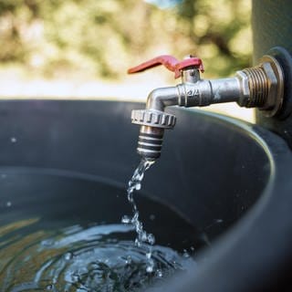 Der Wasserzweckverband Weihergruppe aus dem Landkreis Kaiserslautern appelliert an alle Menschen in der Pfalz, Trinkwasser zu sparen. Der Speicher in Weilerbach leere sich seit einigen Wochen ungewöhnlich schnell.