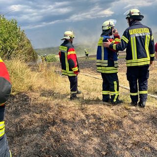 Bei dem Feldbrand in der Nähe von Rosenkopf (Kreis Südwestpfalz) waren mehrere Feuerwehren im Einsatz. Sie konnten verhindern, dass die Flammen auf ein Wohnhaus übergriffen.