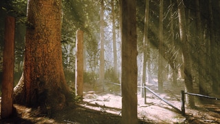 Studenten der Hochschule Kaiserslautern haben den Pfälzerwald virtuell erlebbar gemacht