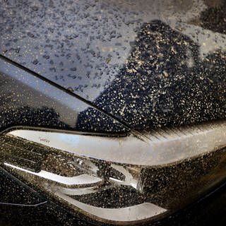 Motorhaube - in Hochspeyer ist Frittierfett auf Motorhauben ausgeschüttet worden