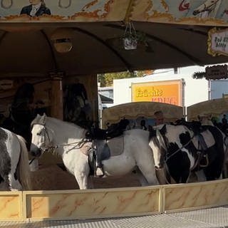 Ponykarussell auf der Kerwe in Kaiserslautern