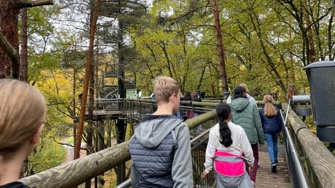 Der Baumwipfelpfad am Biosphärenhaus ist ebenfalls geschlossen.