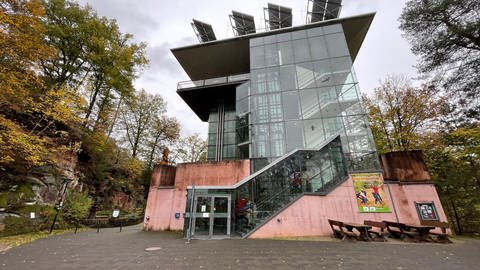 "Sehr zufrieden" ist Raphael Wagenblatt mit dem Besuch in den Ferien im Biosphärenhaus PfälzerwaldNordvogesen in Fischbach.