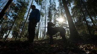 Das Forstamt Kusel kann Wilderei im Wald nur schwer bekämpfen