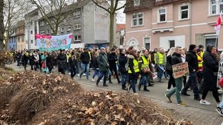 Streikende in Kaiserslautern