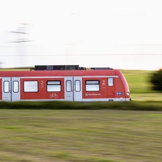 In den Sommerferien wird die Bahnstrecke zwischen Kaiserslautern und Neustadt immer an den Wochenenden gesperrt. Auch nachts fahren die S-Bahnen und Regionalexpresszüge nicht.