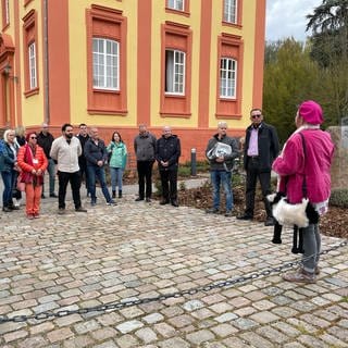 Stadtführer für Kirchheimbolanden im Donnersbergkreis gesucht