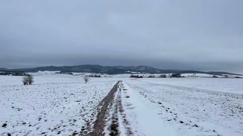 Donnersberg mit Schnee bedeckt
