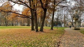 Im Volkspark in Kaiserslautern soll ein 16-Jähriger mit einem Hammer attackiert worden sein.