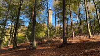 Am Humbergturm bei Kaiserslautern ist eine Leiche gefunden worden.