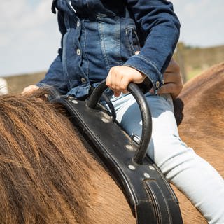 Mädchen mit Pferd im Kreis Kaiserslautern ausgebüxt