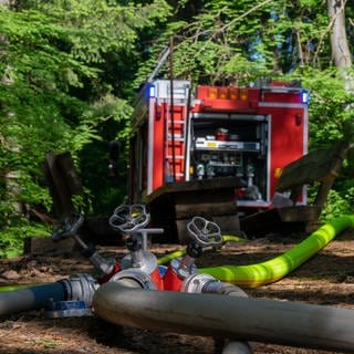 Waldbrandgefahr im Westen der Pfalz steigt an - Feuerwehrauto im Wald