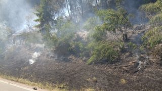 Etwa 200 Feuerwehrleute waren beim Waldbrand in Pirmasens und Rodalben im Einsatz. Die kühlen Temperaturen in der Nacht haben der Feuerwehr geholfen, den Waldbrand unter Kontrolle zu bringen. 