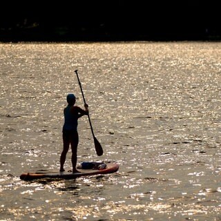 Ein Stand-Up-Paddler im Abendlicht. (Symbolbild)